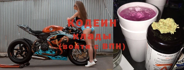 стаф Пересвет